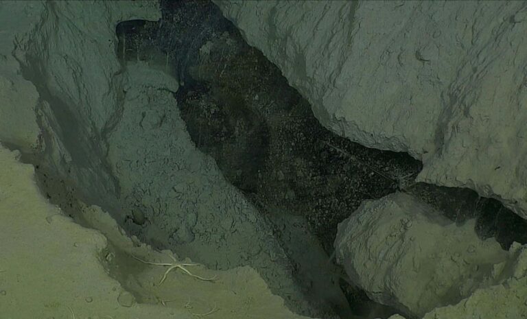 Strange-Modern-Structures-Found-at-the-Bottom-of-the-Arctic-Ocean—What-Are-They.jpg